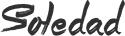bigvarietyshop.com
